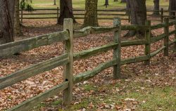 Split,Rail,Fence,In,The,Fall