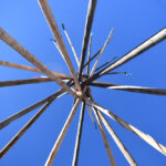 Lodge,Pole,Pines,In,A,Naked,Openness,To,A,Beautiful