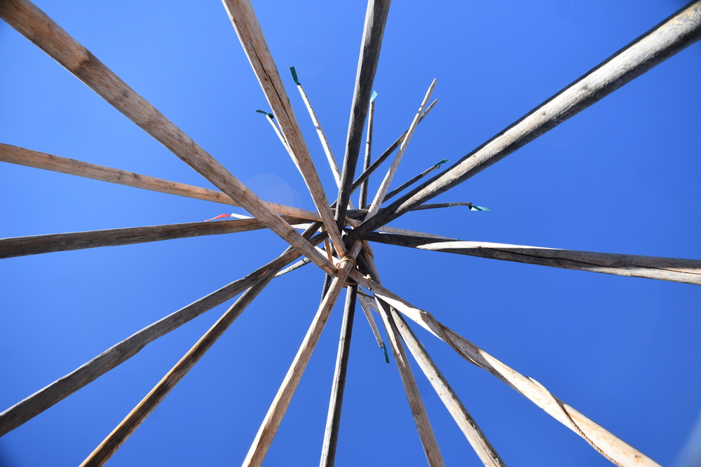 Lodge,Pole,Pines,In,A,Naked,Openness,To,A,Beautiful