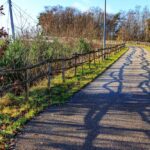 Empty,Bike,Lane,Between,Wooden,Fences,,Cables,From,Cable-stayed,Bridge