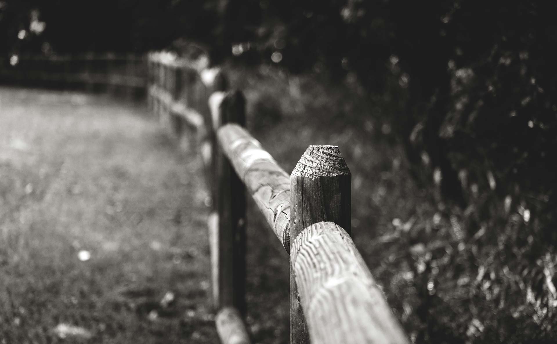 Wooden Fence Posts